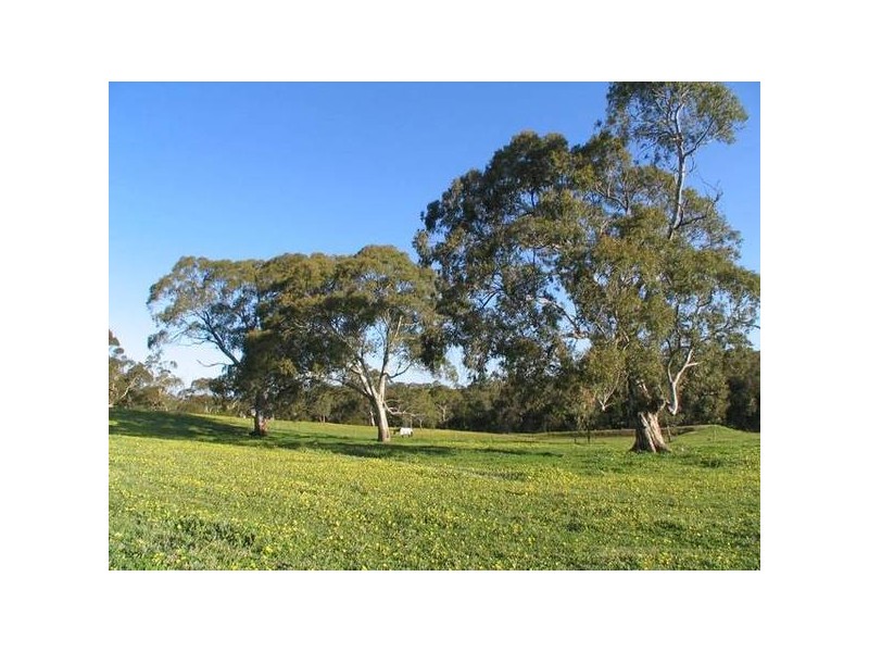Lt 16 Bonython Road, Macclesfield SA 5153
