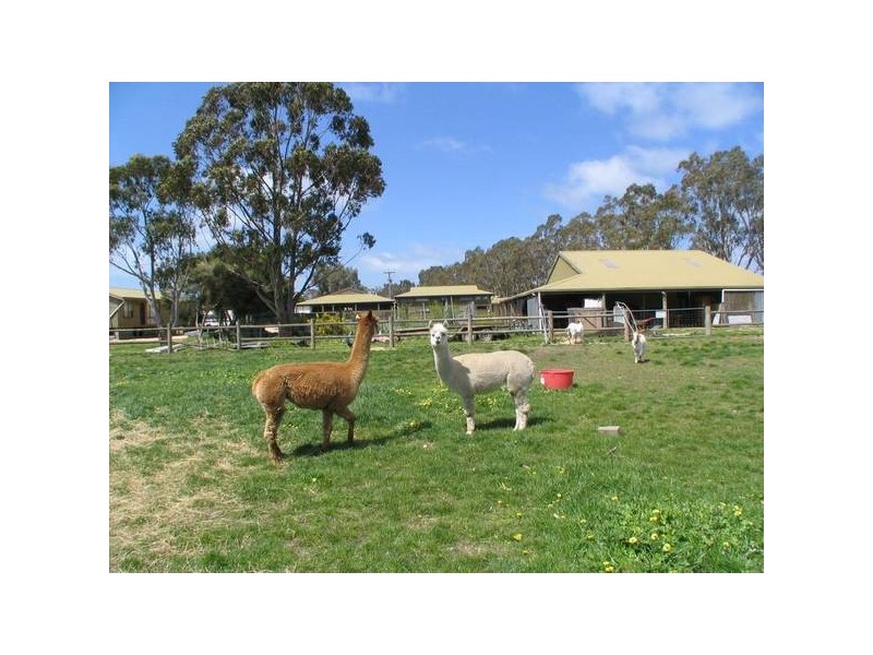 Lot 238 Brookman Road, Meadows SA 5201