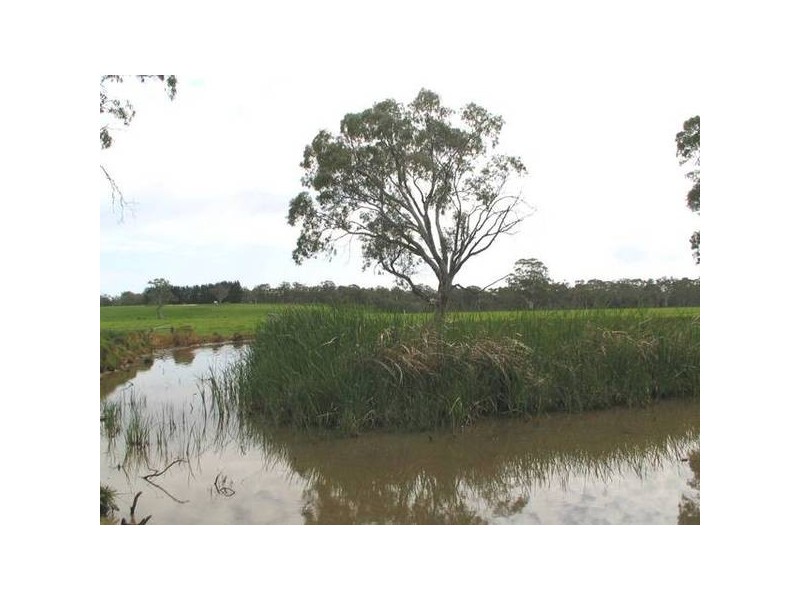 Lt 100 Battunga Road, Meadows SA 5201