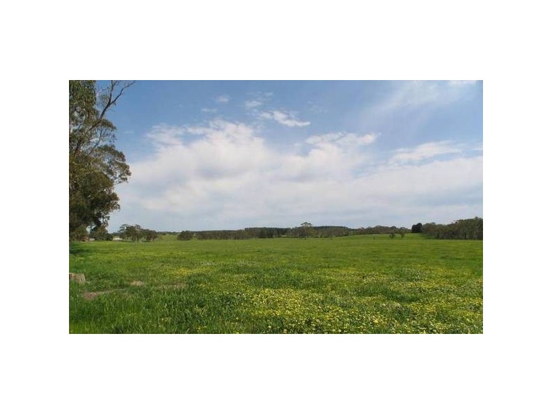 Lt 100 Battunga Road, Meadows SA 5201