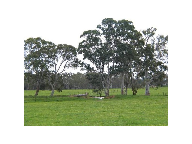 Lt 100 Battunga Road, Meadows SA 5201