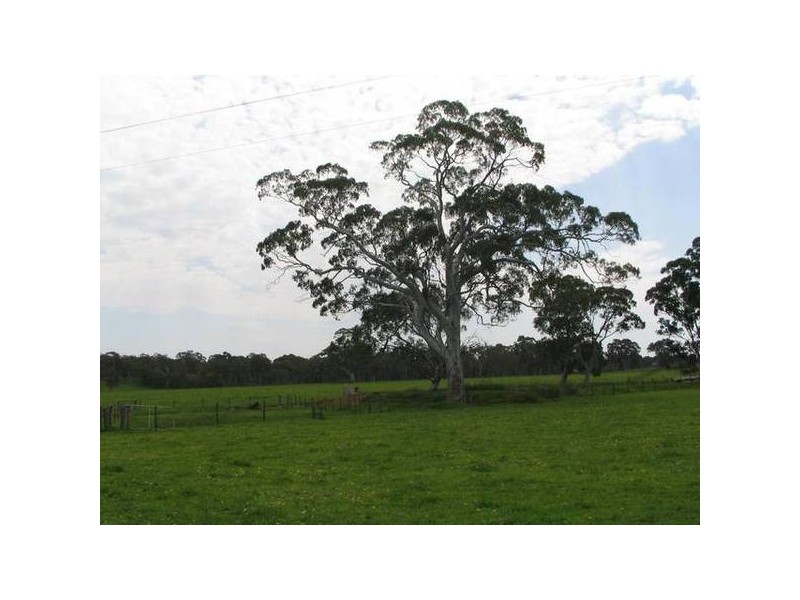 Lt 100 Battunga Road, Meadows SA 5201