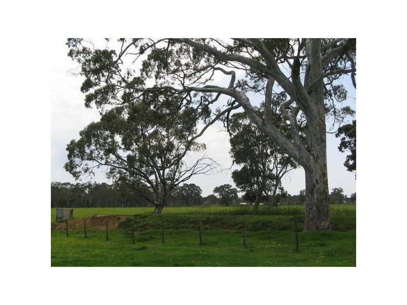 Lt 100 Battunga Road, Meadows SA 5201