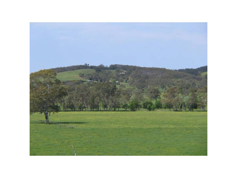 Lt 100 Battunga Road, Meadows SA 5201