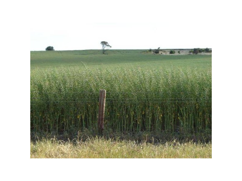 Lot 25 Burwood Road, Mount Barker SA 5251