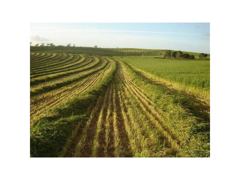 . Burwood Road, Wistow SA 5251