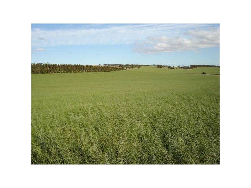 . Burwood Road, Wistow SA 5251