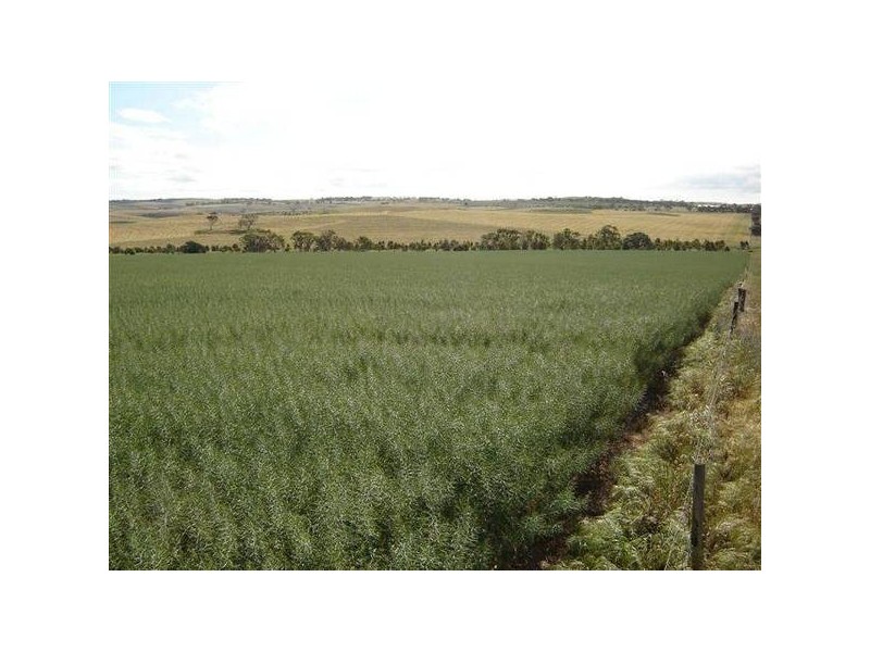 . Burwood Road, Wistow SA 5251