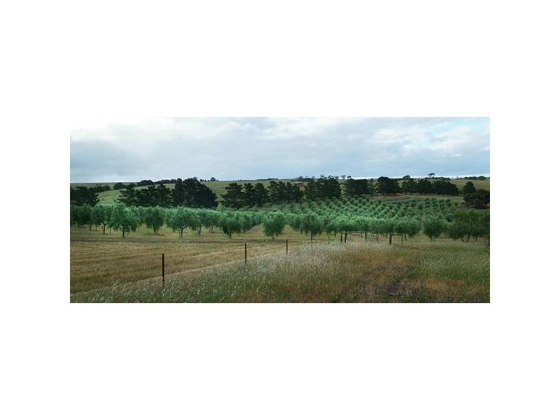 Lot 27 Stirling Hill Road, Highland Valley SA 5255