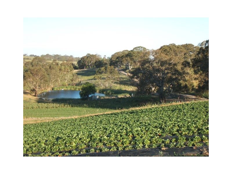 LOT 59 Lesley Road, Nairne SA 5252