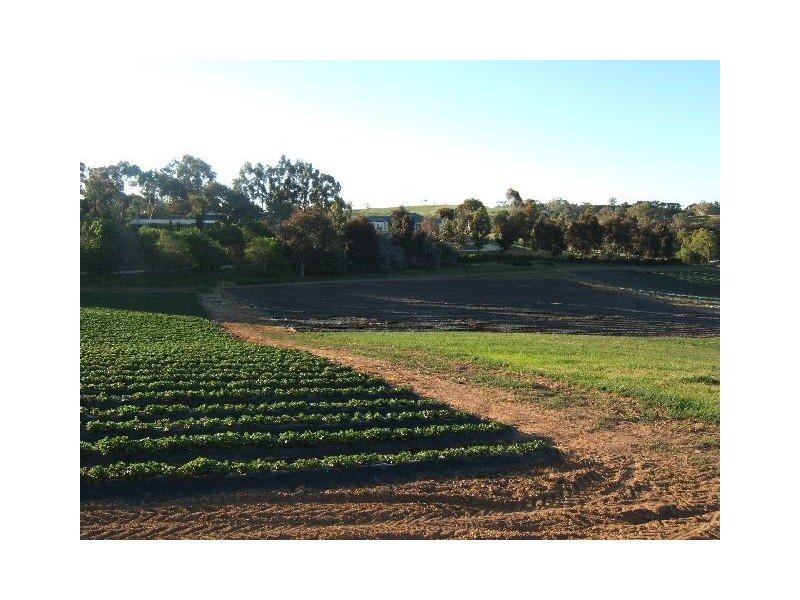 LOT 59 Lesley Road, Nairne SA 5252