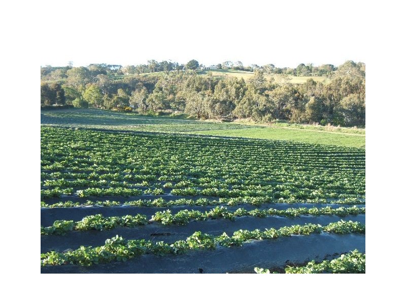 LOT 59 Lesley Road, Nairne SA 5252