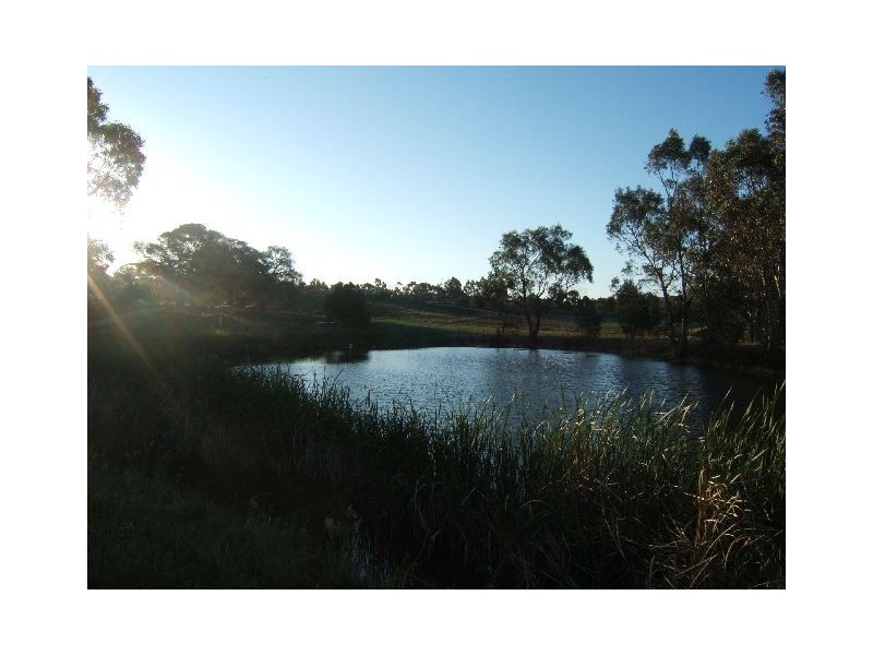 LOT 59 Lesley Road, Nairne SA 5252