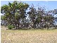 Lot 22 Hopgood Road, Strathalbyn SA 5255