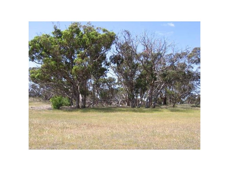 Lot 22 Hopgood Road, Strathalbyn SA 5255