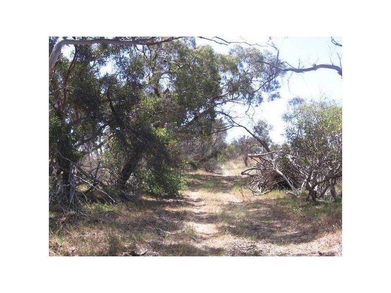 Lot 22 Hopgood Road, Strathalbyn SA 5255