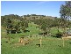 Lot 22 Paris Creek Road, Paris Creek SA 5201