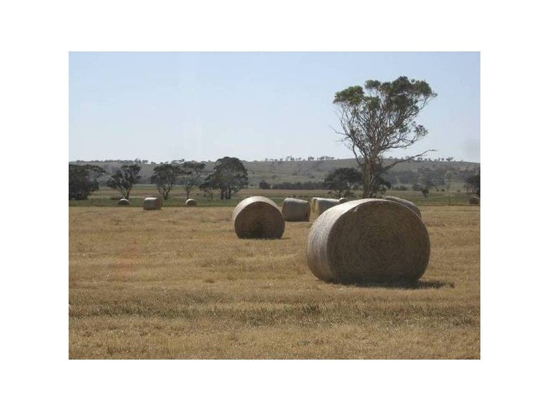 . Braewood Road, Strathalbyn SA 5255