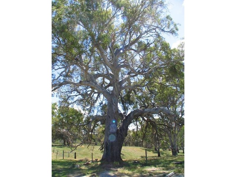 Gemmels Road, Gemmells SA 5255