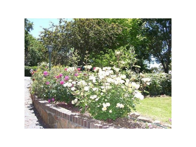 17 Hill Street, Mount Barker SA 5251