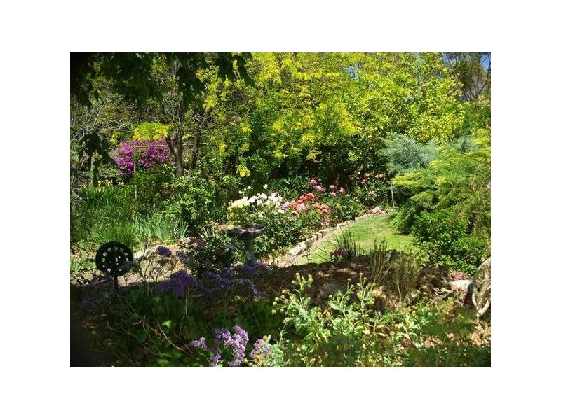 17 Hill Street, Mount Barker SA 5251