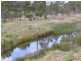Lot 248, . North Terrace, Callington SA 5254