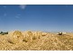 Lot 471 Frahns Farm Road, Monarto SA 5254