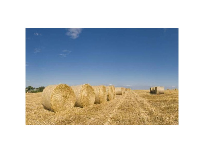 Lot 471 Frahns Farm Road, Monarto SA 5254