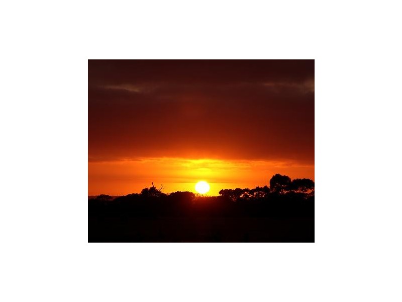 Lot 471 Frahns Farm Road, Monarto SA 5254