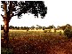Lot 471 Frahns Farm Road, Monarto SA 5254