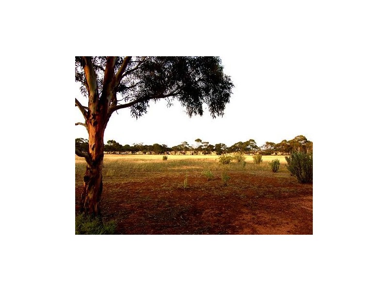 Lot 471 Frahns Farm Road, Monarto SA 5254