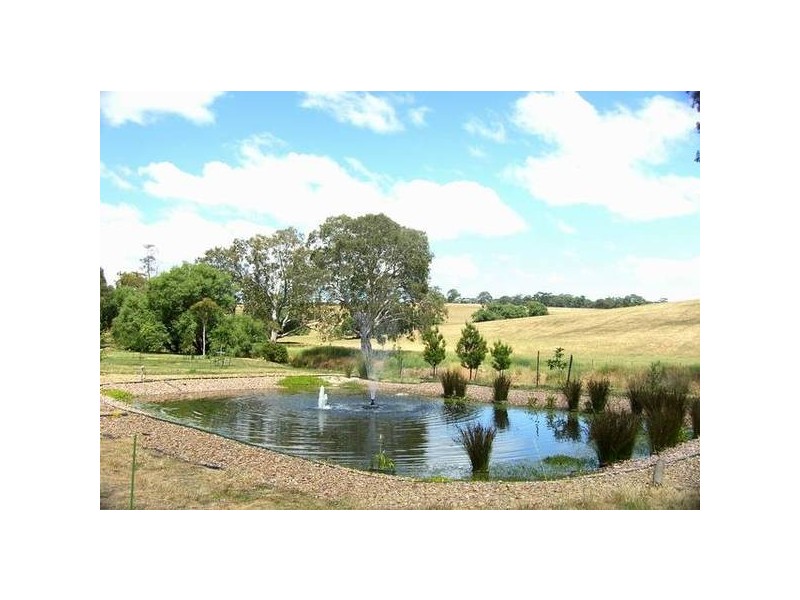 9 Verco Road, Woodside SA 5244