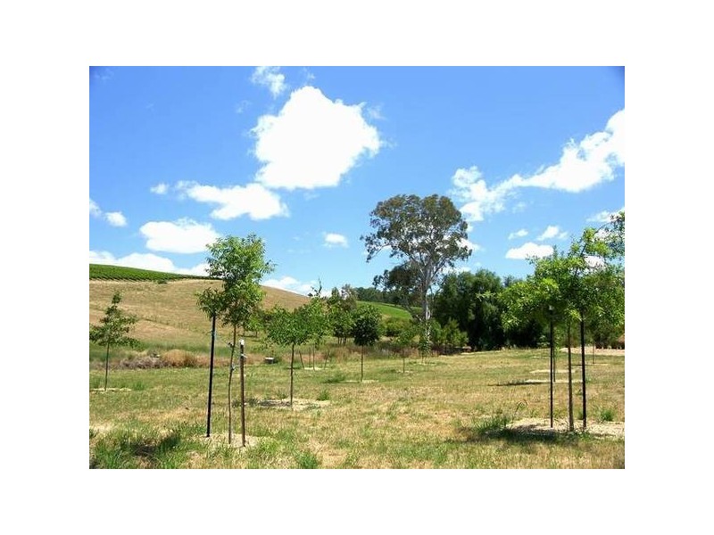 9 Verco Road, Woodside SA 5244