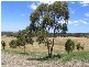 Lot 98 Blake Road, Paris Creek SA 5201