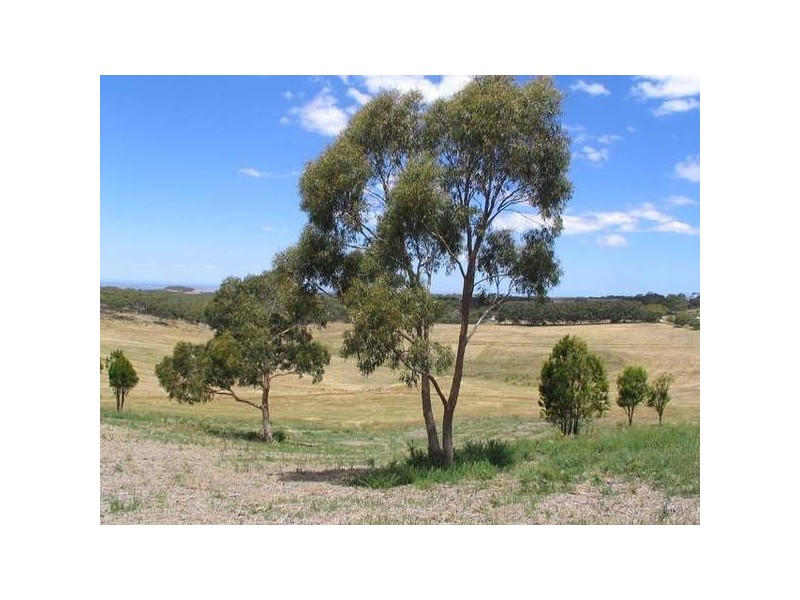 Lot 98 Blake Road, Paris Creek SA 5201