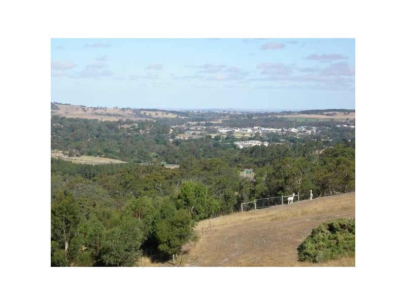 Lot 21 Paechtown Road (3.9kms from Pine Avenue), Hahndorf SA 5245