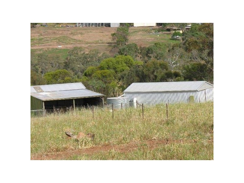 LOT 2 SAWPIT GULLY ROAD, Dawesley SA 5252
