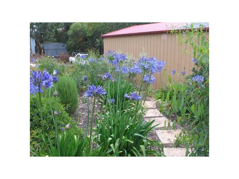 4 Devereux Street, Macclesfield SA 5153