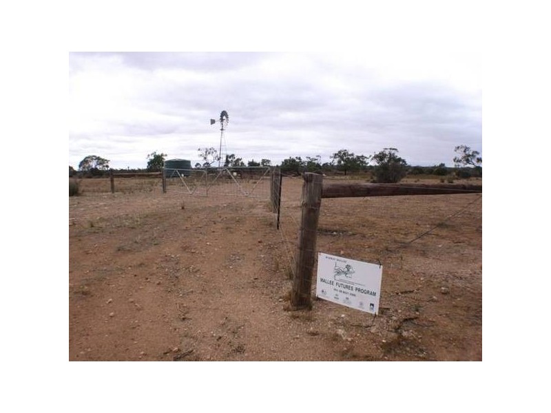 Lot 1 Bakara Well Road, Bakara SA 5354