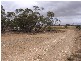 Lot 1 Bakara Well Road, Bakara SA 5354
