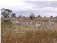 Lot 1 Bakara Well Road, Bakara SA 5354