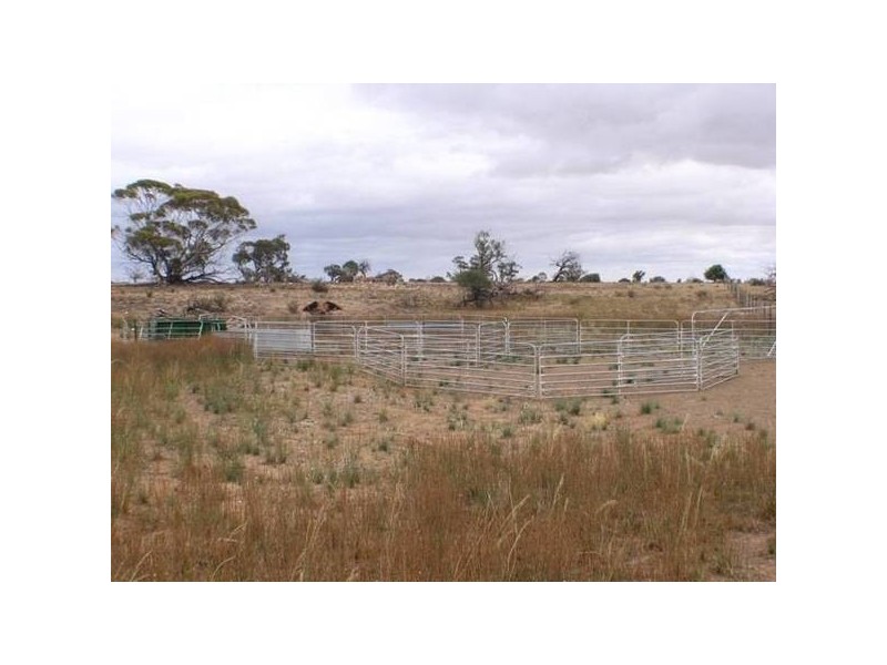Lot 1 Bakara Well Road, Bakara SA 5354