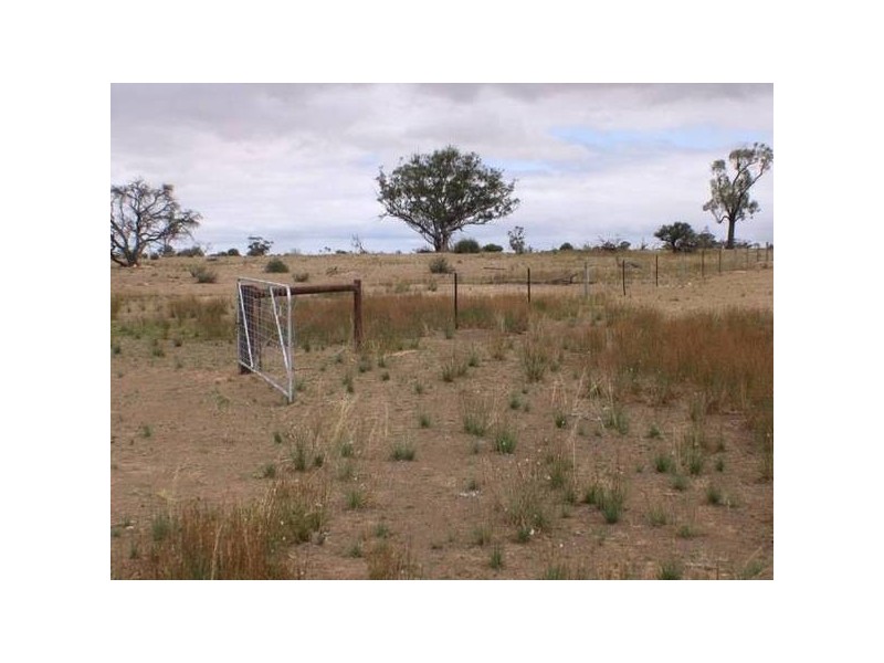 Lot 1 Bakara Well Road, Bakara SA 5354