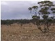 Lot 1 Bakara Well Road, Bakara SA 5354
