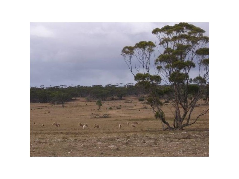 Lot 1 Bakara Well Road, Bakara SA 5354
