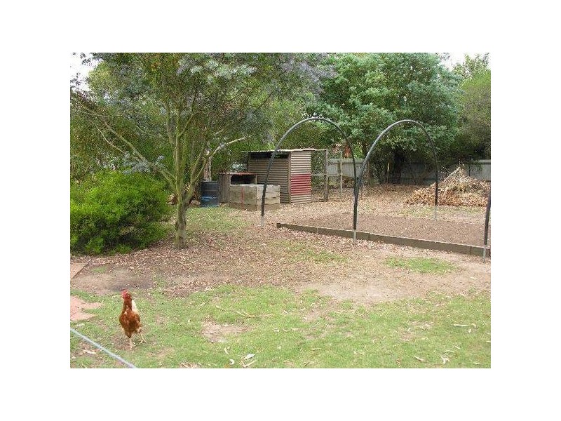 4 Torrens Street, Nairne SA 5252