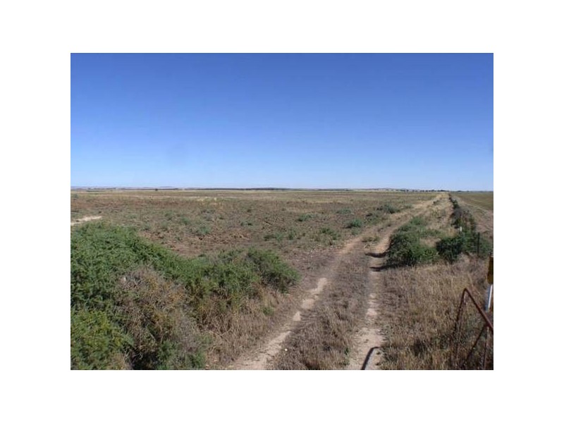 Lot 82 Langhorne Creek Road, Brinkley SA 5253