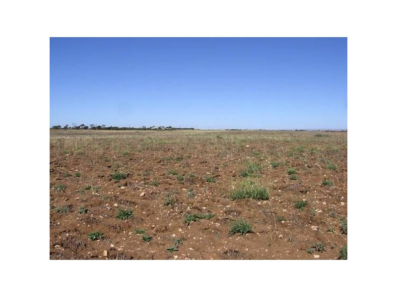 Lot 82 Langhorne Creek Road, Brinkley SA 5253
