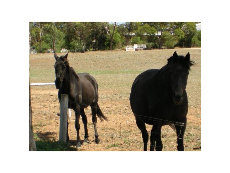 RSD 25 Chaunceys Line Road, Hartley SA 5255