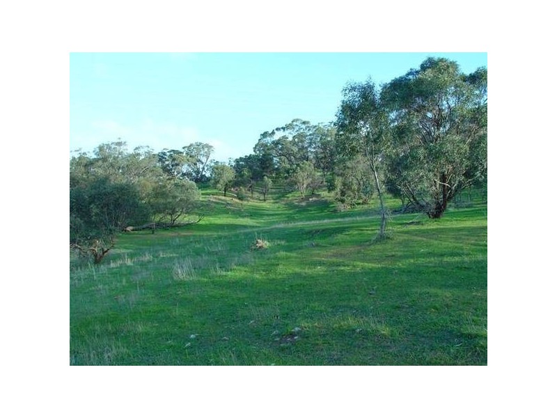 Lot 10 Sawpit Gully Road, Dawesley SA 5252